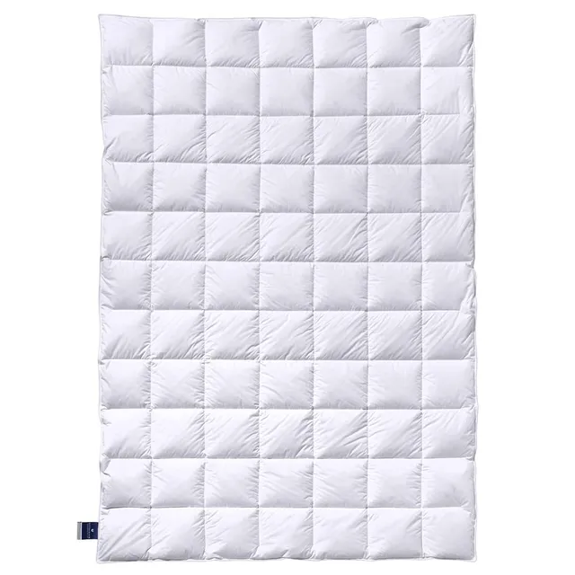 billerbeck-almira-sommerdecke-135x200-cm-90-g-nsedaune-leicht image 1