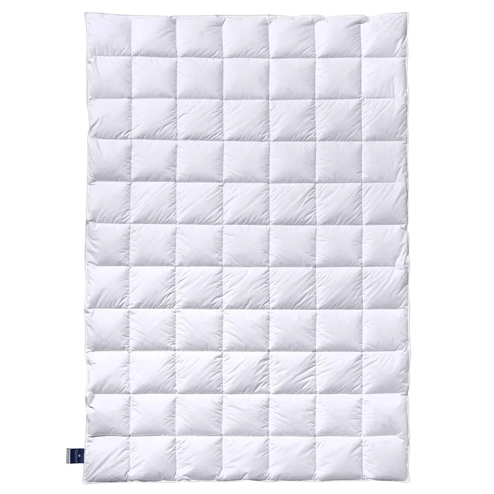 billerbeck-almira-sommerdecke-135x200-cm-90-g-nsedaune-leicht image 1