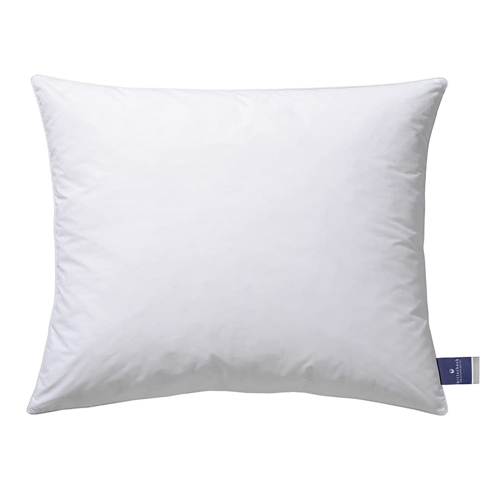 billerbeck-almira-kopfkissen-80x80-cm-fest-85-federn-15-g-nsedaunen image 8