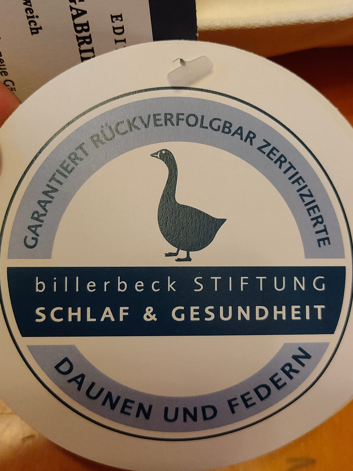 Klassisches Daunenkissen wie früher