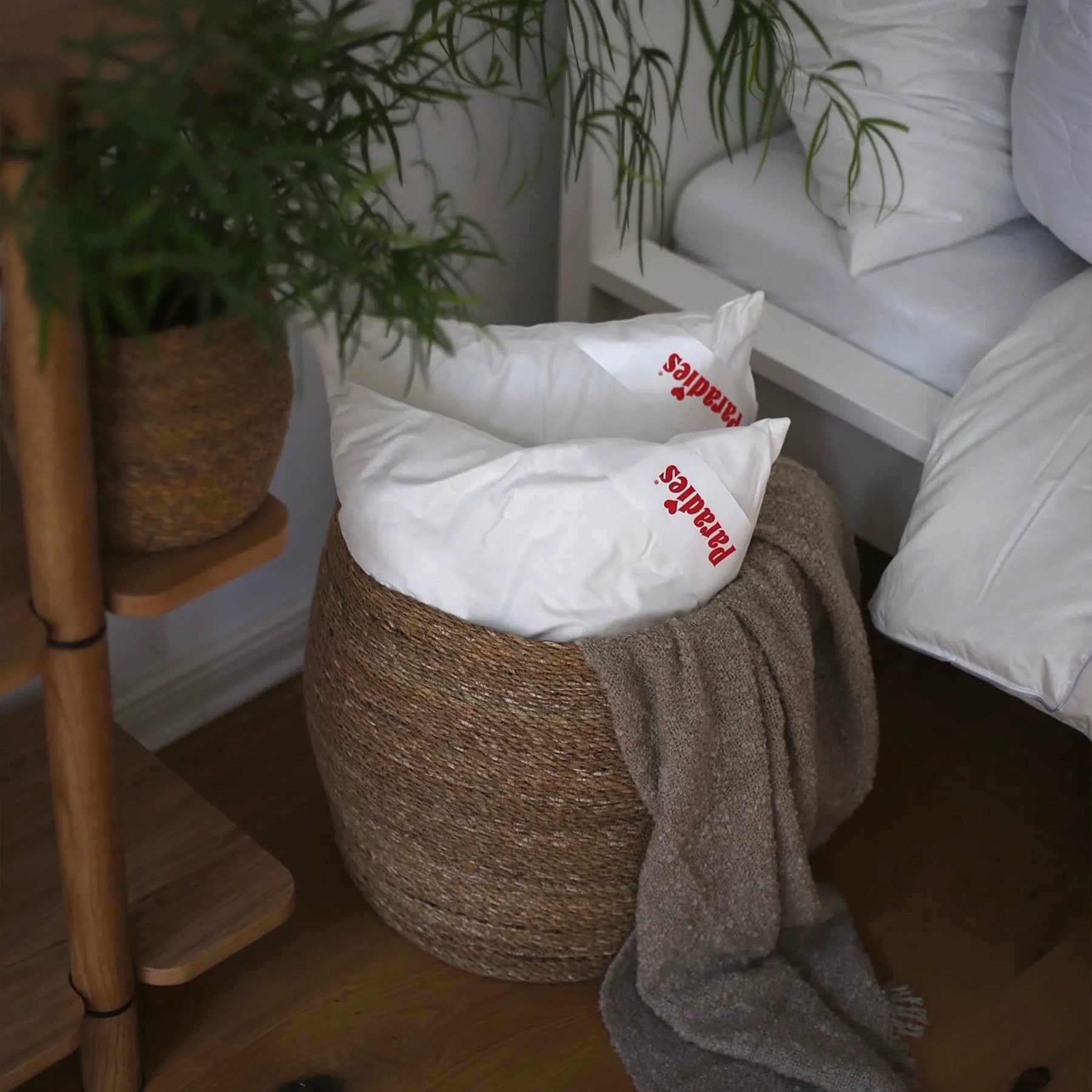 paradies-softy-kleinkissen-kissen-set-40x40-cm-baumwolle image 5
