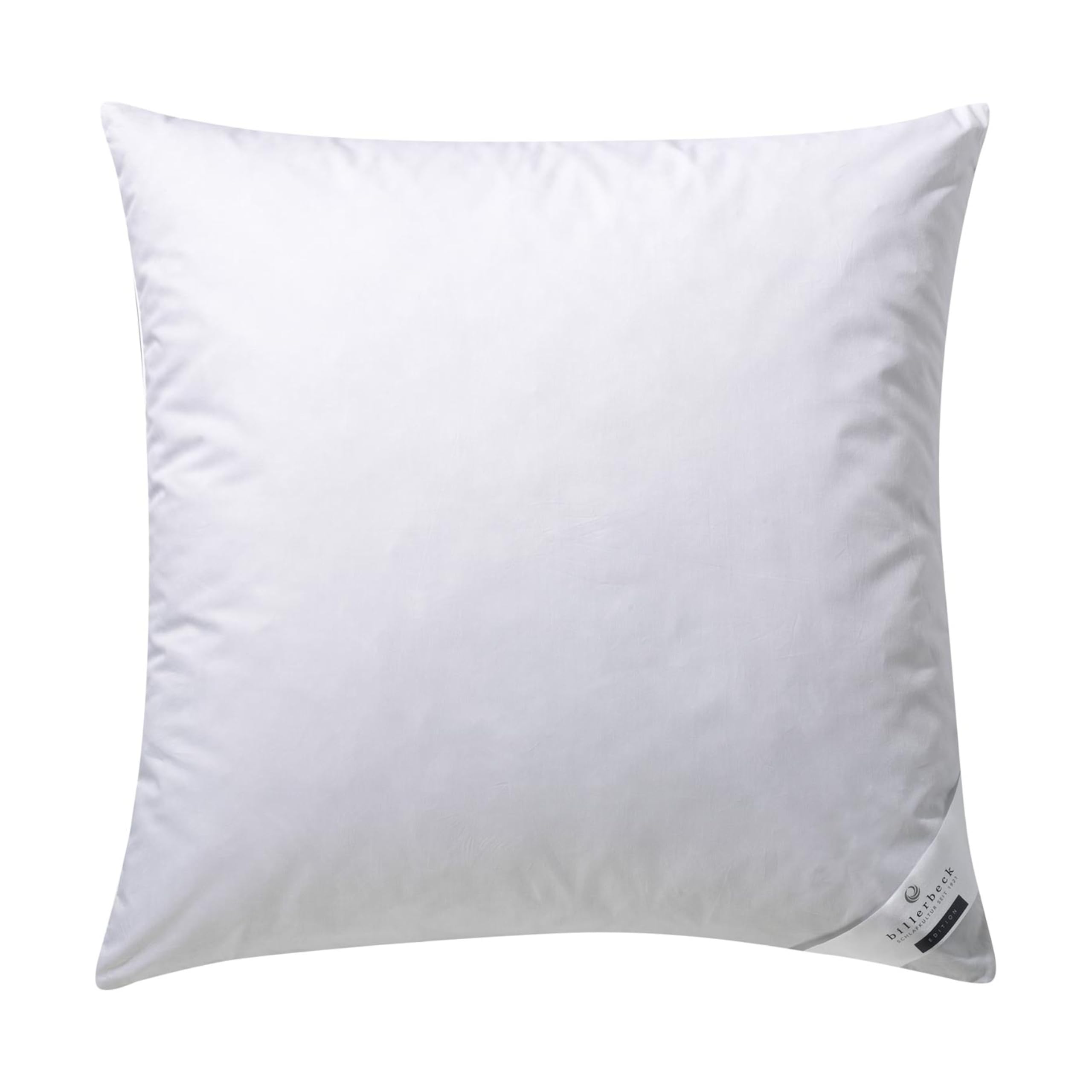 billerbeck-gabriela-30-daunenkissen-80x80-cm-g-nsedaunen image 1