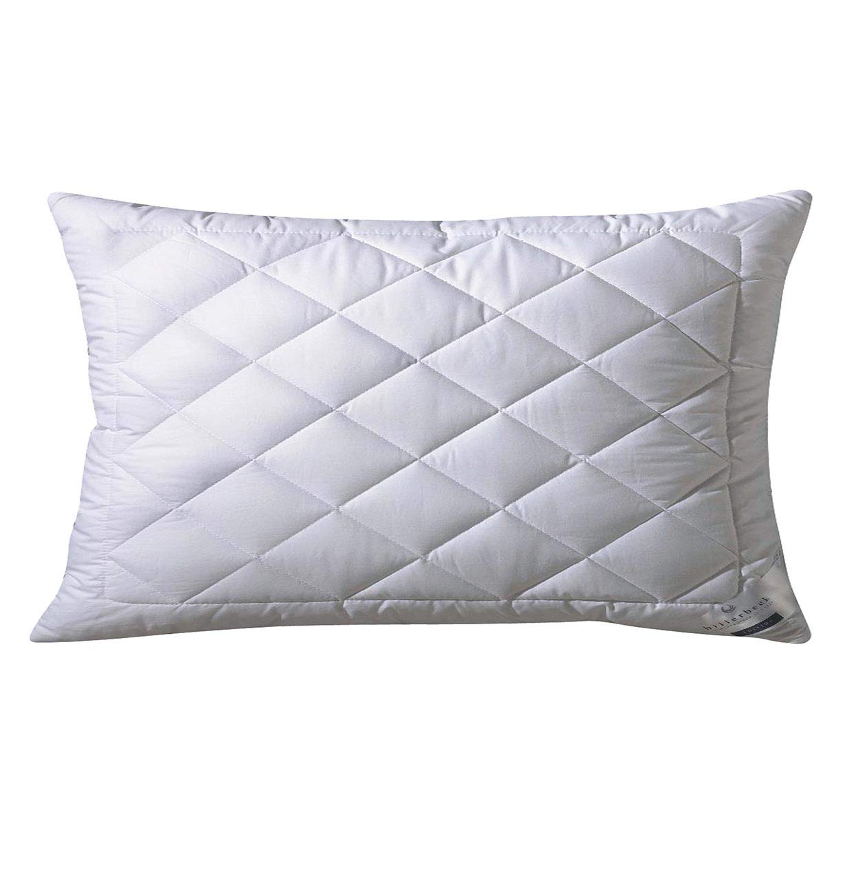 billerbeck-silver-dream-kopfkissen-80-x-80-cm-silber image 8