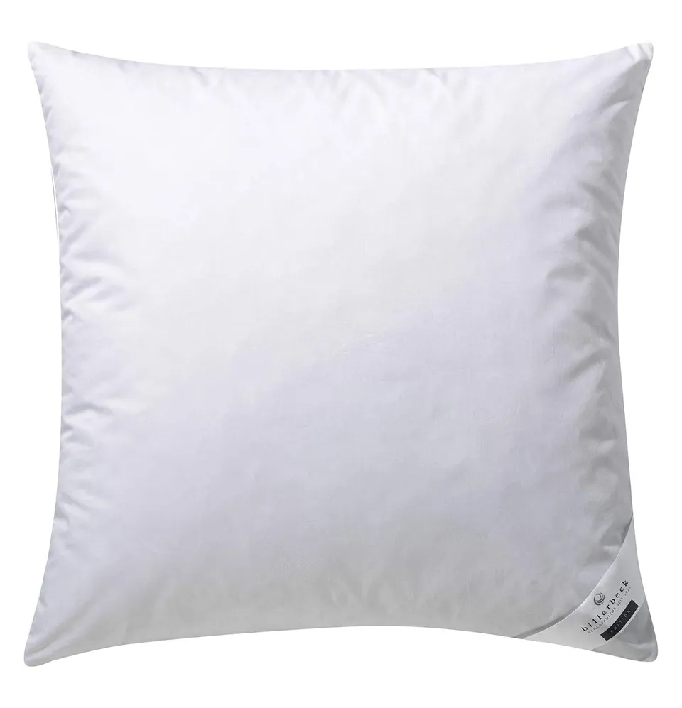 billerbeck-gabriela-3-kammern-kissen-70-x-90-cm-g-nsedaune-fest image 1