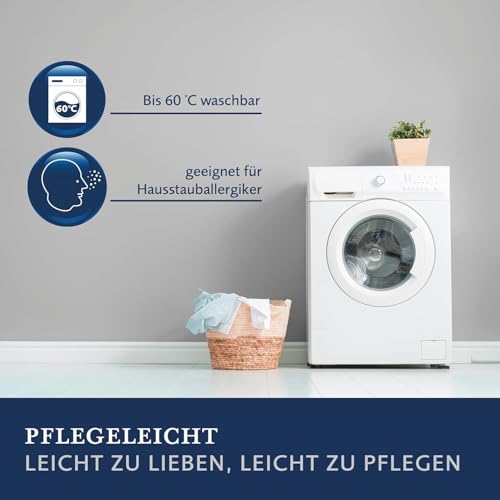 billerbeck-gabriela-3-kammern-kissen-70-x-90-cm-g-nsedaune-fest image 6