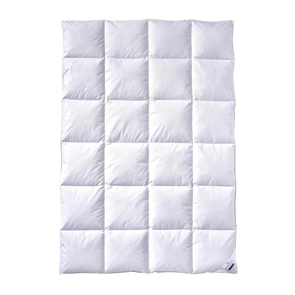 billerbeck-martina-g-nsedaunendecke-135x200-cm-ganzjahresdecke-wei image 1