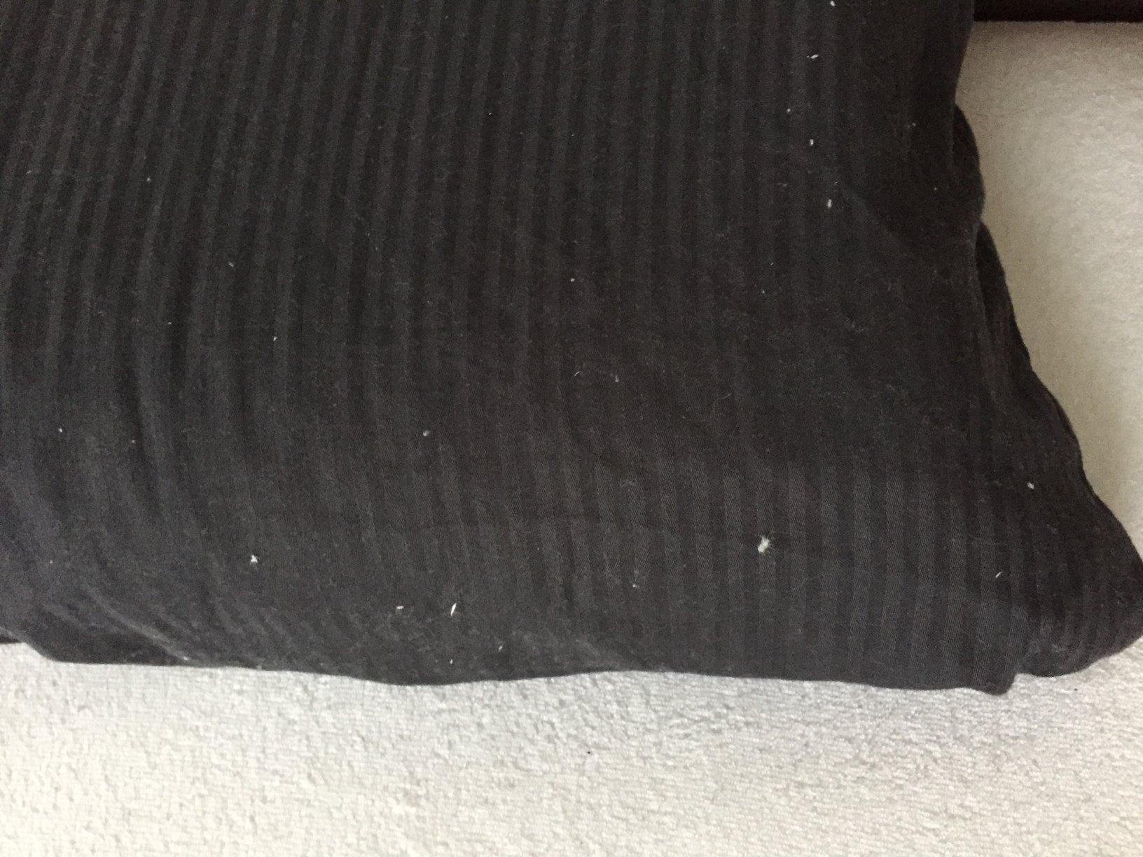 Farbe macht Freude