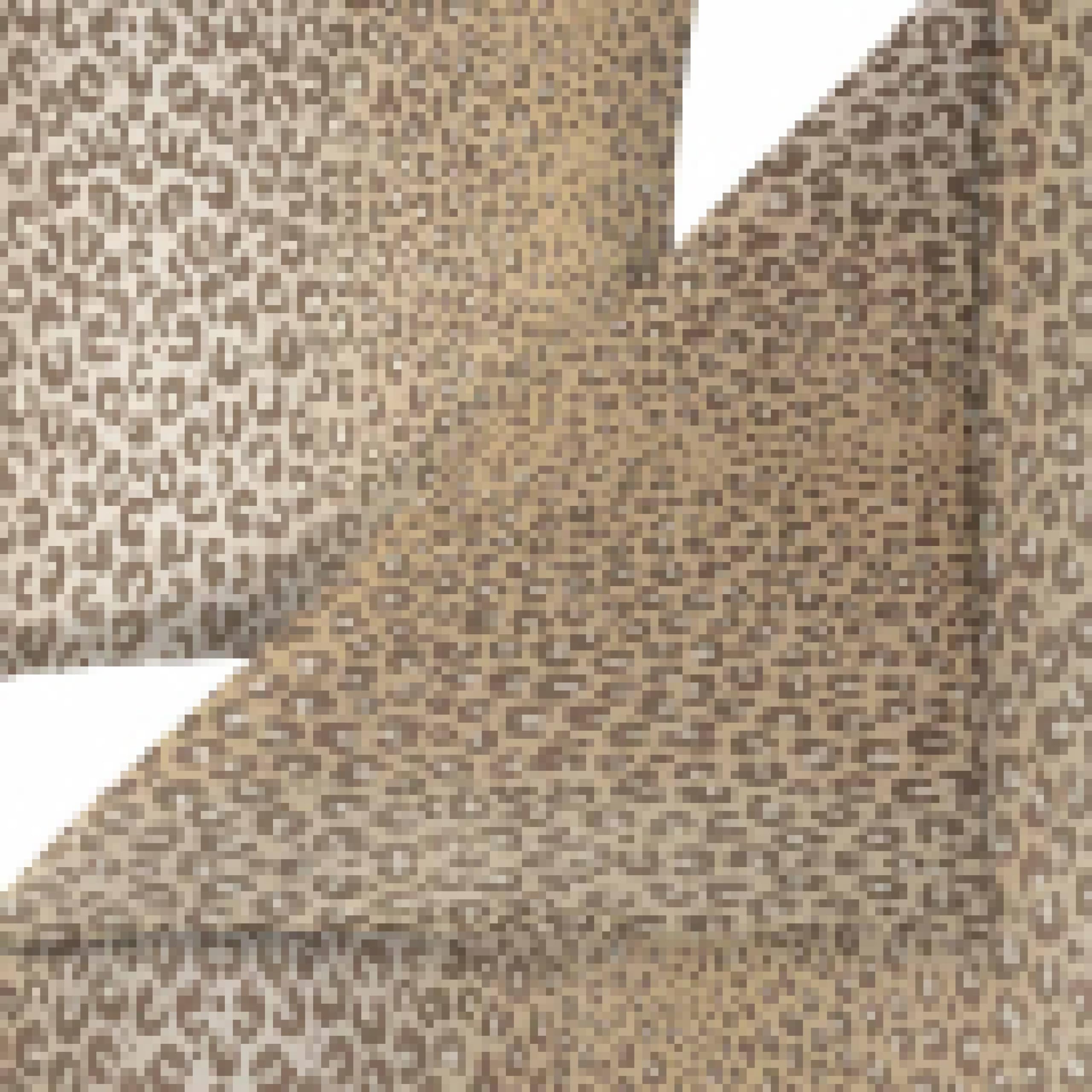 estella-mako-satin-bettw-sche-lionel-beige-leopardenmuster image 2
