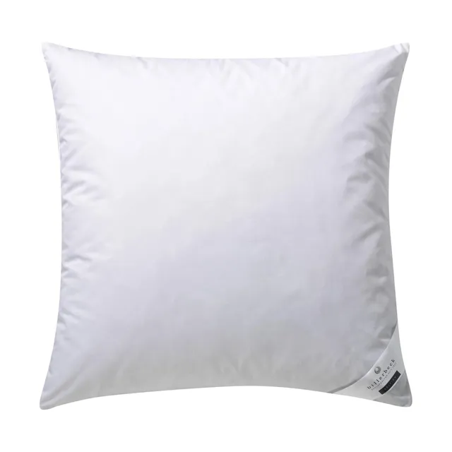 billerbeck-gabriela-30-daunenkissen-80x80-cm-g-nsedaunen image 1