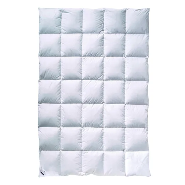 billerbeck-clivia-90-daunendecke-155-x-220-cm-mittel-90-daunen-berl-nge image 1