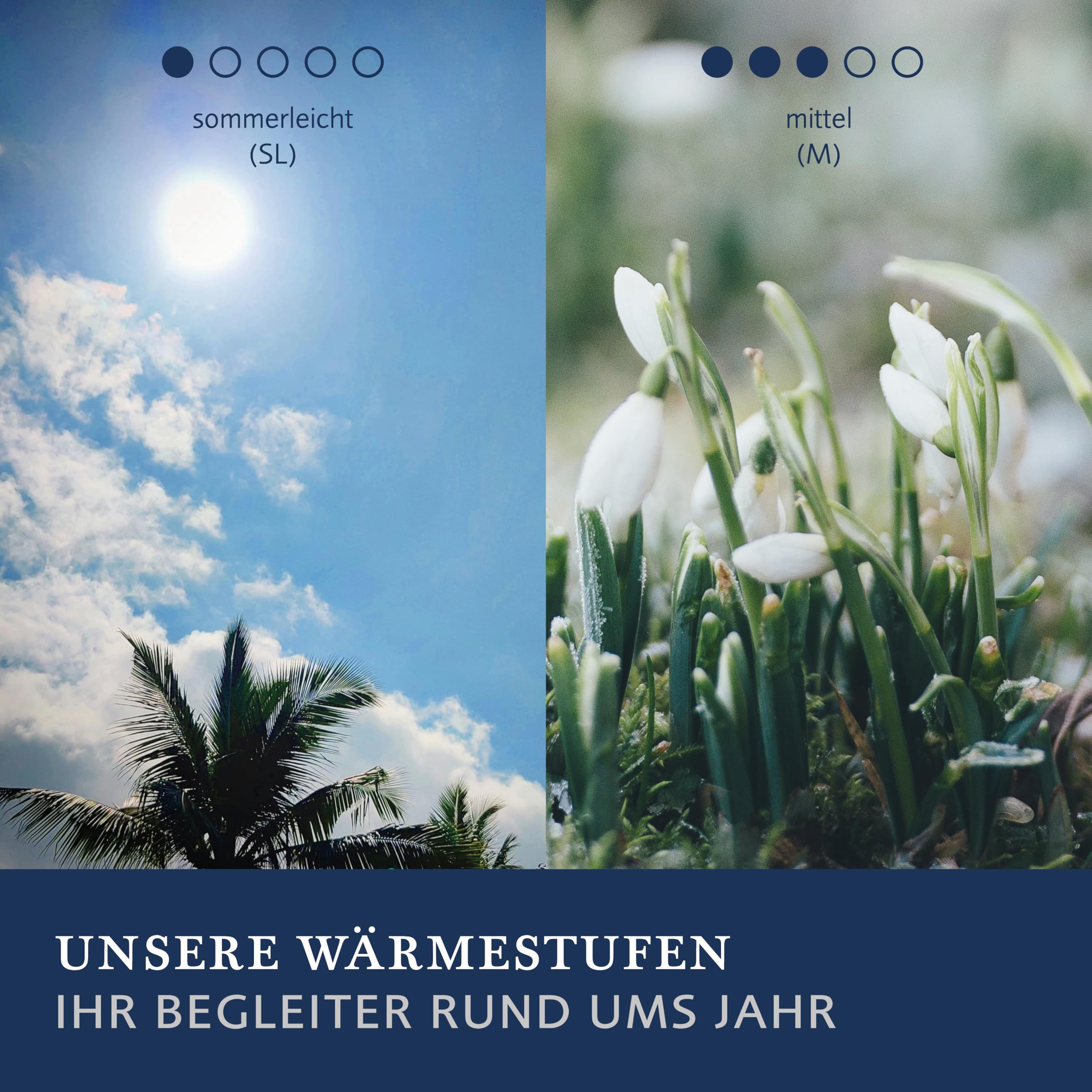 billerbeck-bettdecke-e48-kairo-sommerdecke-155-x-220-cm-kamelhaar-schurwolle image 5