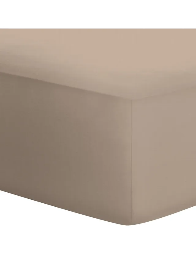 schlafgut-jersey-elasthan-spannbetttuch-boxspring-kamille-140-160x200-220 image 1