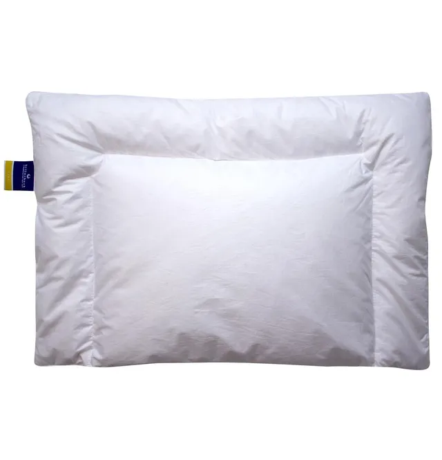 billerbeck-nena-flachkissen-g-nsedaune-40-x-60-cm-kids-junior image 1
